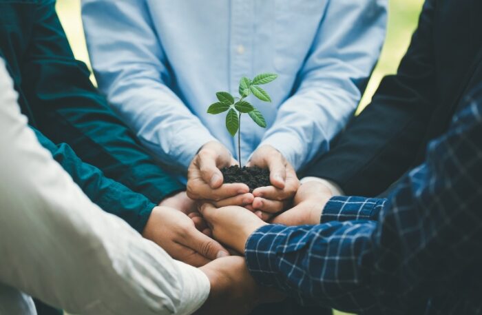 Third-Party Assurance of Environmental and Social Data
